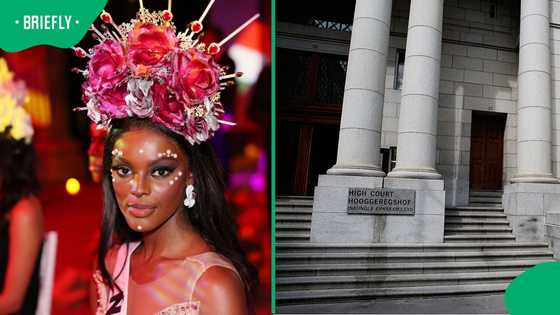 Chidimma Adetshina's arrest called an ambush as Cape Town court reserves deportation ruling
