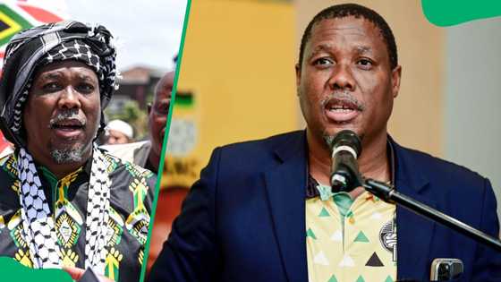 Who is Bheki Mtolo? From Kokstad mayor to ANC leadership