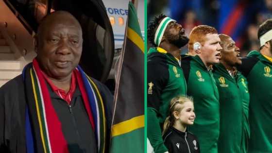 Presidency shares video of Ramaphosa jetting to France for Springboks and All Blacks final