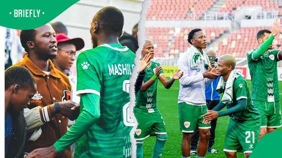 Rivaldo Coetzee heads list of 10 players exiting Sekhukhune United in Major squad overhaul
