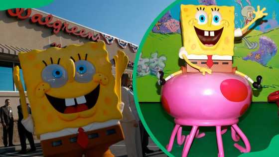 How old is SpongeBob SquarePants? The facts and fan theories