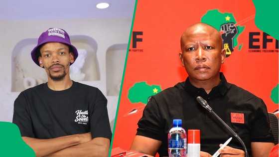 Julius Malema sentencing: Nota Baloyi targets EFF leader's late mum following ruling