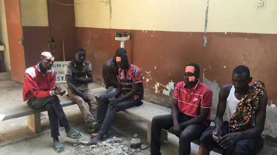 Chad lawyers to stop work over mass trial of protesters