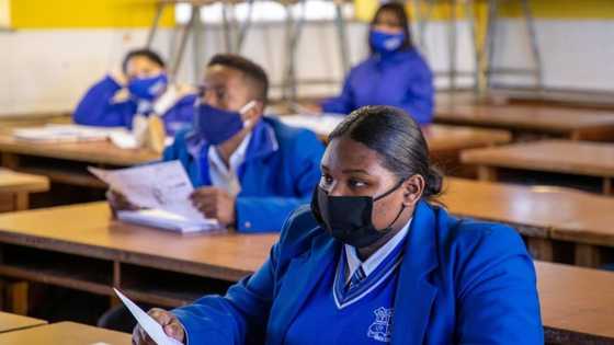 Matric results 2021: Western Cape pass rate dips, bachelor's pass rise