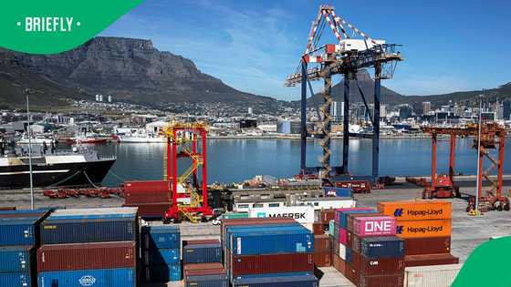 Madlanga Commission hears how South African ports are exploited for international drug trade