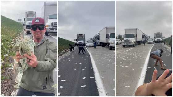 Transit van scatters dollars on the road, people abandon their cars to pick money