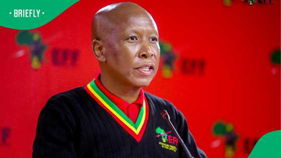 South Africa weighs in as EFF claims minister undermines law for Starlink