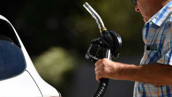 Holiday rush drives demand at Europe's busiest fuel station