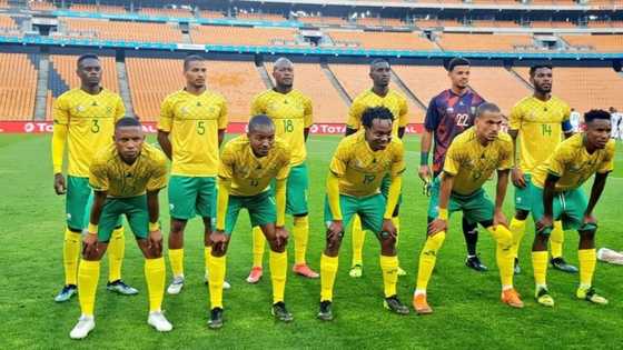 2021 Afcon qualifiers: A look at the 14 countries that have reached Cameroon