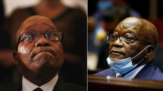 Jacob Zuma set to ask the Pietermaritzburg High Court for a stay of arrest