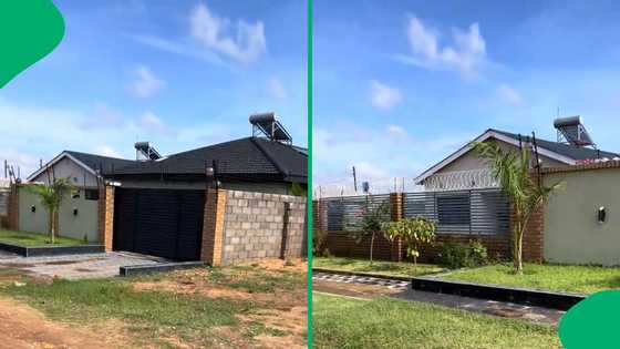 "We're moving there": Self-sufficient modern homes in Zimbabwe's Mbizo township impress Mzansi