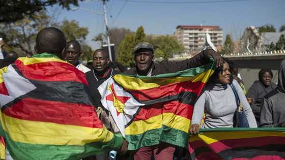 Government backtracks on cancellation of Zim permits, discussion gets intense