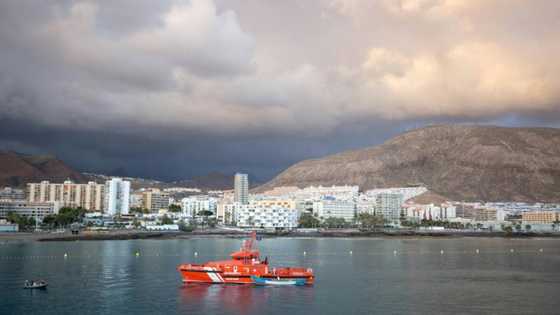 Stowaways who arrived in Spain on rudder returned to ship