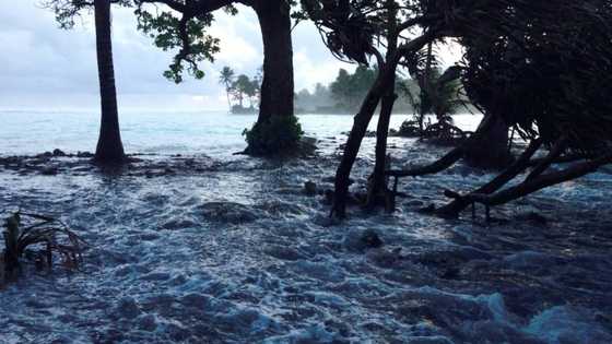 Tax oil firms to pay for climate damage, island nations say