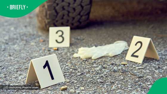 5 murder suspects killed in deadly shootout with SAPS in KwaZulu-Natal