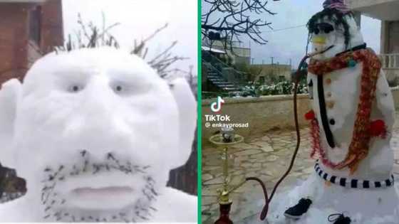Video of snowman smoking hubbly bubbly and 5 other funny-looking snowmen leave SA dead with laughter