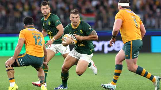 André Esterhuizen defends Rassie Erasmus after 13 changes blamed for Springboks’ defeat