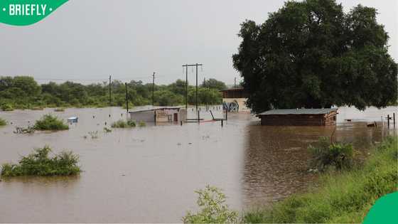 Two Zimbabwean nationals confirmed dead in Eastern Cape floods, search continues for third man