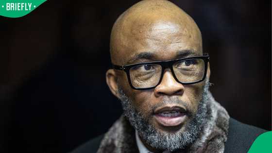 Vusimuzi 'Cat' Matlala's plea deal rejected as court suggests 8-year sentence isn't enough