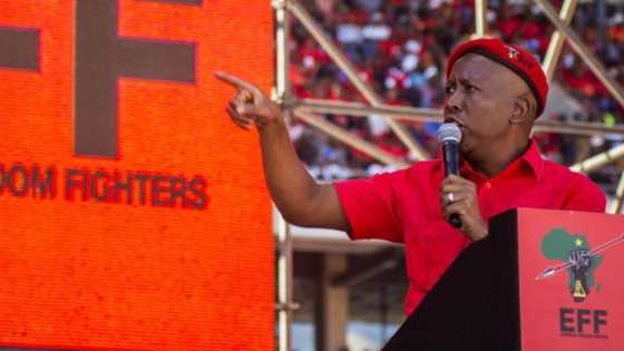 EFF’s Malema takes aim at SA voters for allowing ANC to mess up the country, leaving Mzansi divided