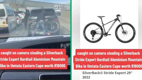 Mzansi reacts to video of man stealing R18k bike off car in traffic in Eastern Cape: “So disappointing”