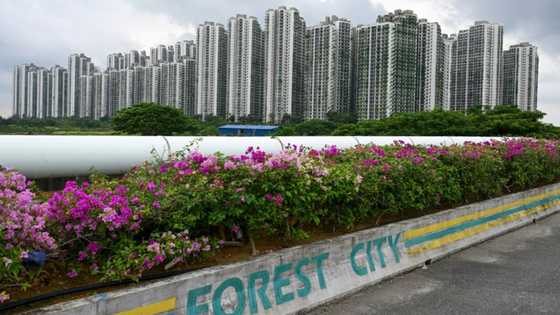 Malaysia's Forest City teeters over China property giant woes