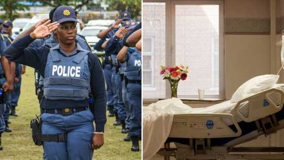 Mpumalanga SAPS investigates mysteriously illness that killed toddler and hospitalised 3 siblings