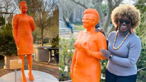 Statue raised in honour of GH lady based in the US for her contribution to Science
