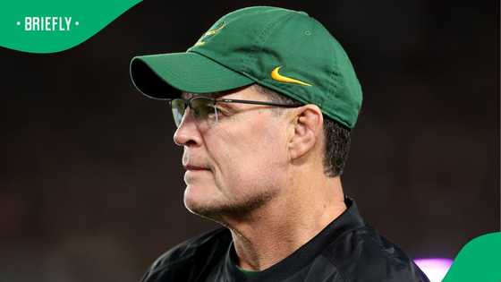 Rassie Erasmus nearly loses it as Springboks fall short at Eden Park
