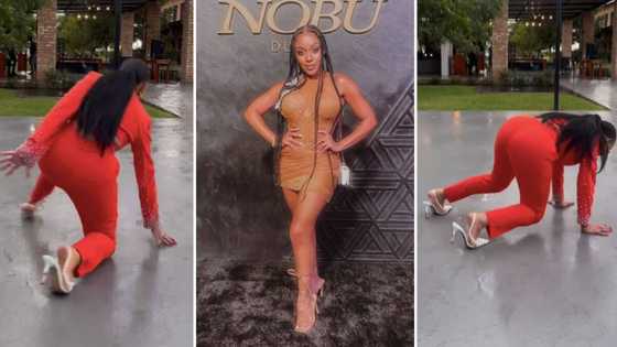 'How to Ruin Christmas' star Thando Thabethe trips and falls in hilarious video, star's celeb friends share mixed responses