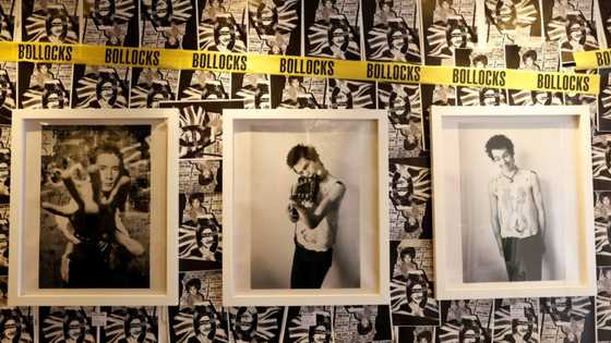 Sex Pistols show shines light on 'violence of punk'