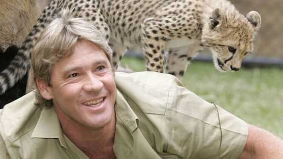 How did Steve Irwin die? Here is the untold story of The Crocodile Hunter