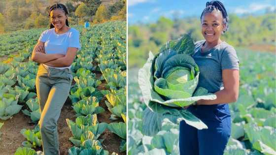 Resilient self-taught farmer from KZN makes big moves in agricultural industry