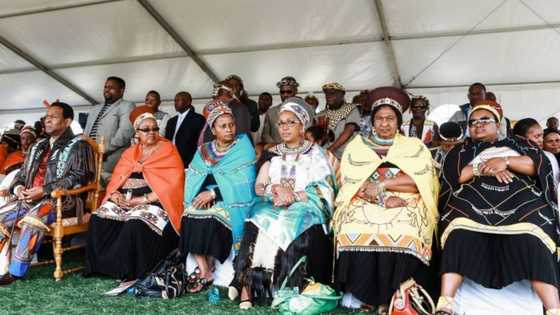 King Zwelithini's widows pampered by KZN premier, given cars and renovated homes