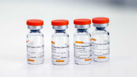 Covid19 vaccines: Government says illegal immigrants won't be excluded