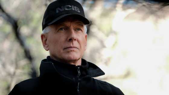 Mark Harmon’s net worth, age, children, wife, movies and tv shows, profiles