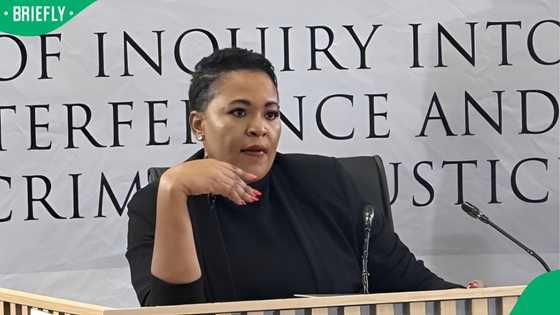 SAPS Brigadier Rachel Matjeng fired after misconduct and dishonesty findings, SA praises decision