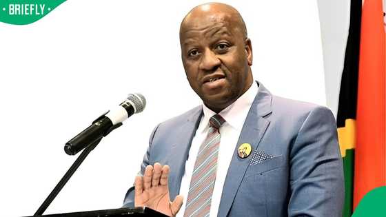 Thami Ntuli says employers of illegal foreign nationals will be arrested, SA praises KZN Premier