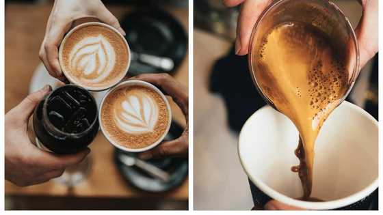 Best coffee shops in Sandton: Top 10 list with images