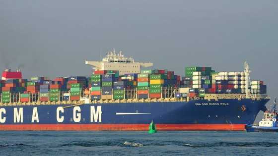 What are the cheapest international shipping companies in South Africa in 2022?