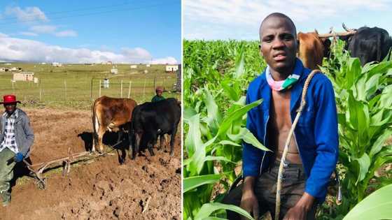 Exclusive: Farmer, 22, shares how his passion helped him plough through tough times, now reaping the rewards