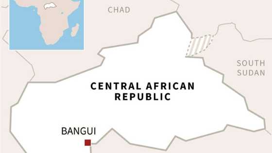 Pro-government militia in C.Africa behind possible war crimes: UN