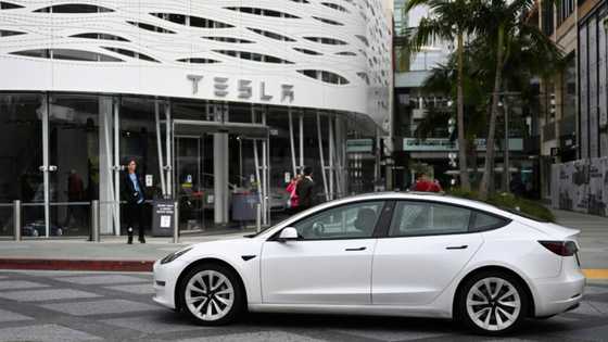 US transition to electric vehicles faces delays