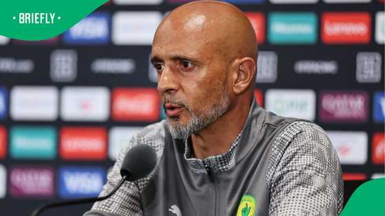 Miguel Cardoso Plays Down Steve Komphela’s Altercation With Wiliete Coach