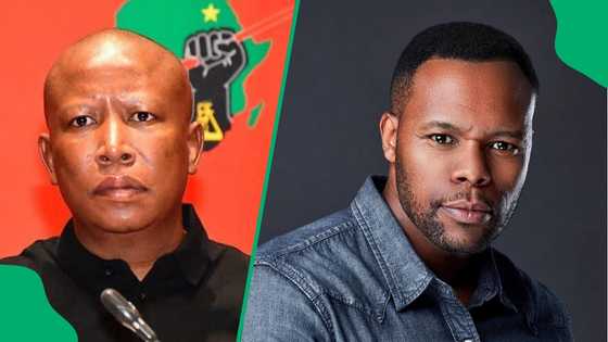 Tumisho Masha slams Malema for comparing Fadiel Adams' arrest to Steve Biko