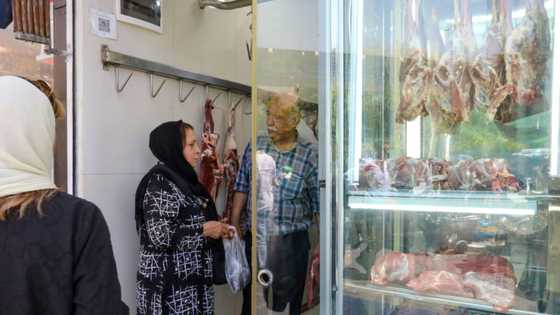 Inflation, subsidy reform hit stomachs in isolated Iran