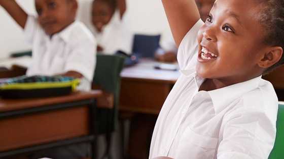 List of teaching colleges in South Africa and requirements - Briefly.co.za