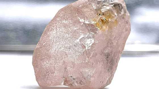 Miners unearth pink diamond believed to be largest seen in 300 years
