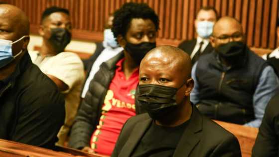 AfriForum, EFF clash in court over controversial 'Shoot the Boer' song: "No retreat"