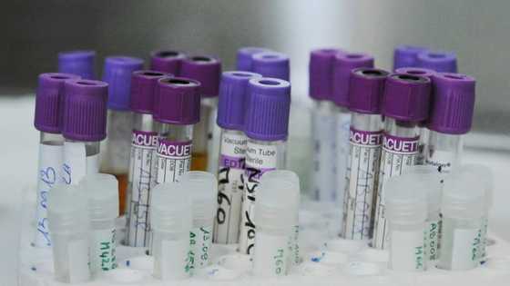 Deal reached for generic drug to prevent HIV infection